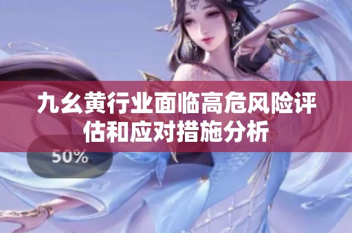 九幺黄行业面临高危风险评估和应对措施分析