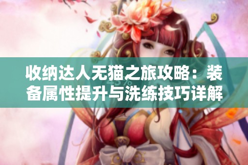 收纳达人无猫之旅攻略：装备属性提升与洗练技巧详解