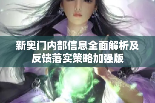 新奥门内部信息全面解析及反馈落实策略加强版
