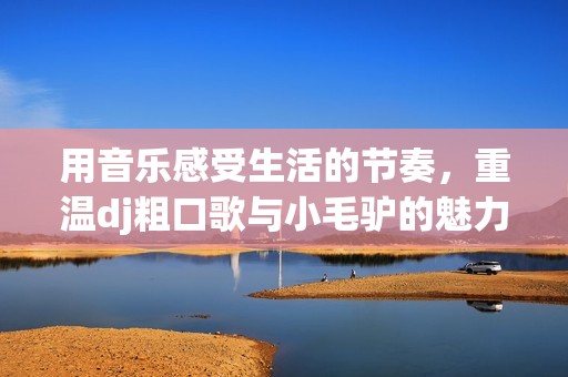 用音乐感受生活的节奏，重温dj粗口歌与小毛驴的魅力