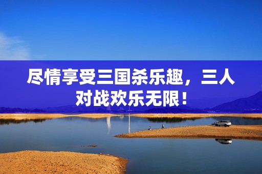 尽情享受三国杀乐趣，三人对战欢乐无限！